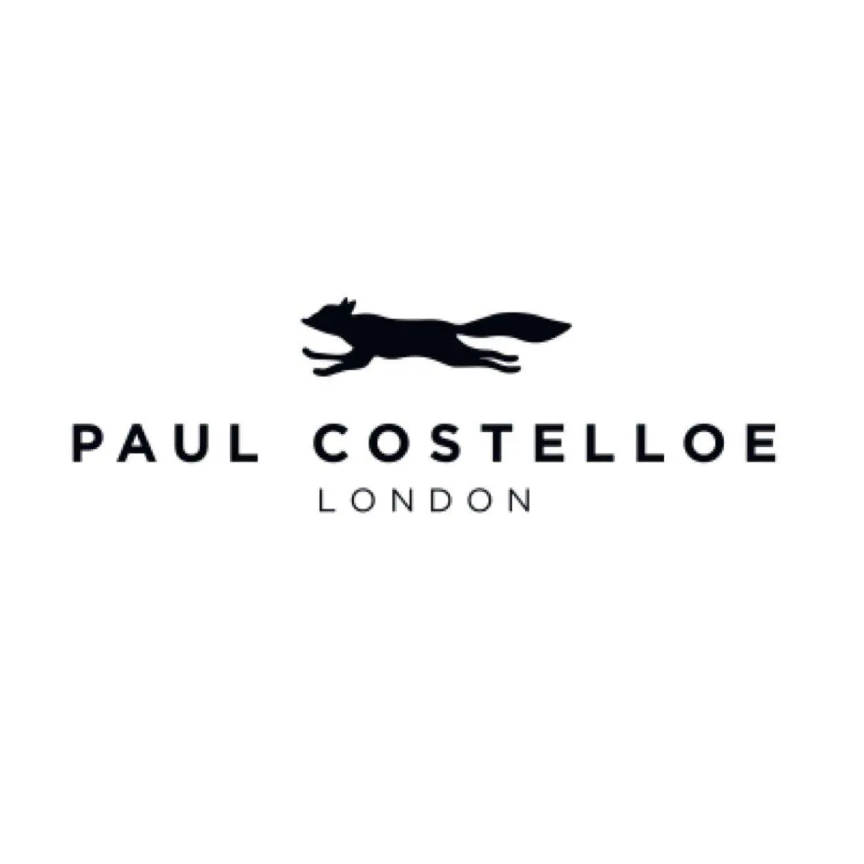 paul-costelloe-logo